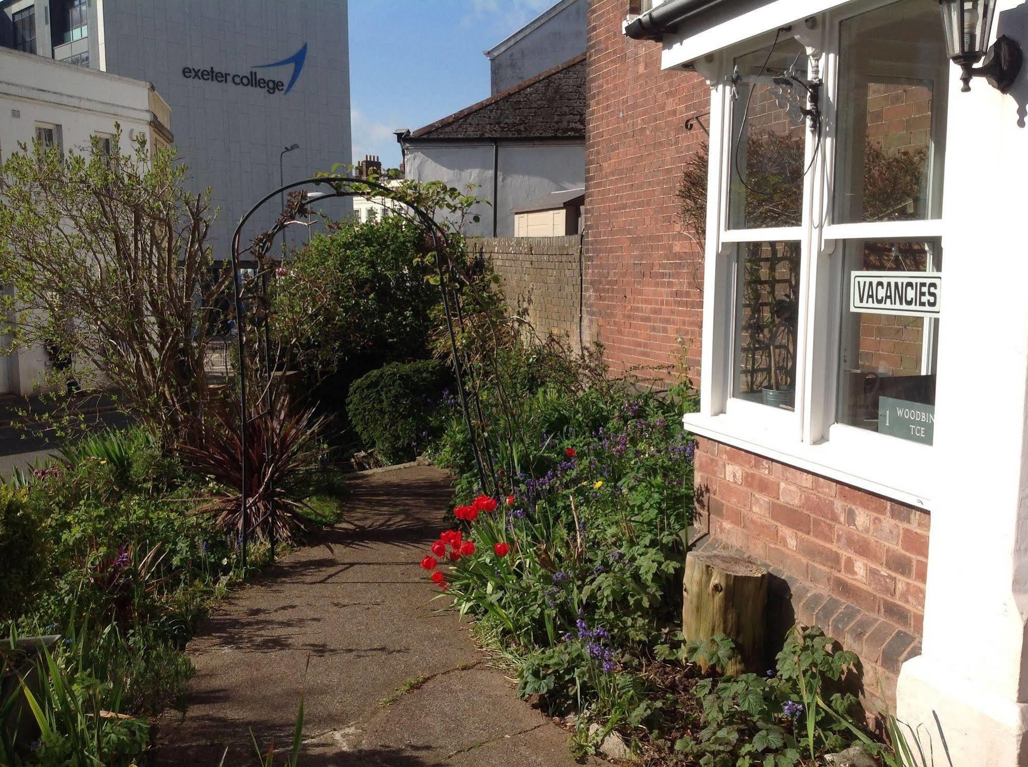 Woodbine City Rooms Exeter Exteriör bild